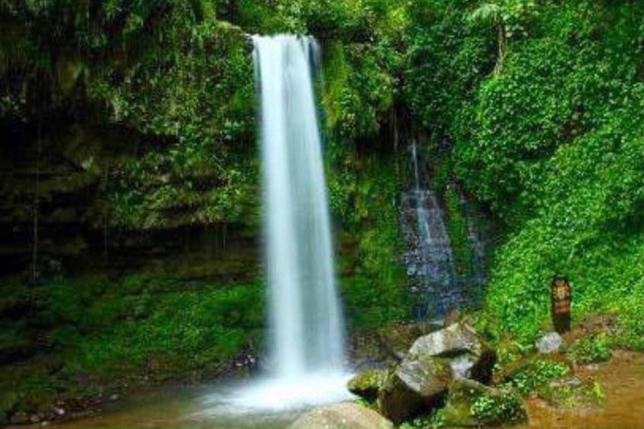Oyo Home 90396 Mahua Rainforest Paradise Tambunan Екстер'єр фото